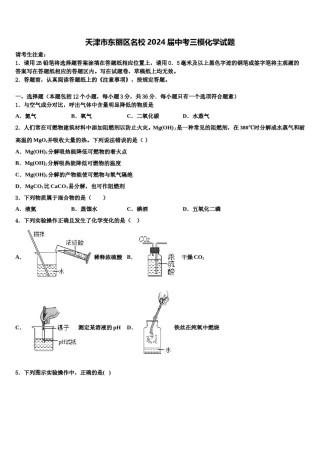 天津市东丽区名校2024届中考三模化学试题含解析.doc