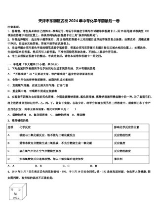 天津市东丽区名校2024年中考化学考前最后一卷含解析.doc