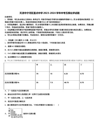 天津市宁河区重点中学2023-2024学年中考五模化学试题含解析.doc
