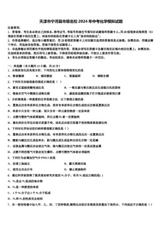 天津市宁河县市级名校2024年中考化学模拟试题含解析.doc