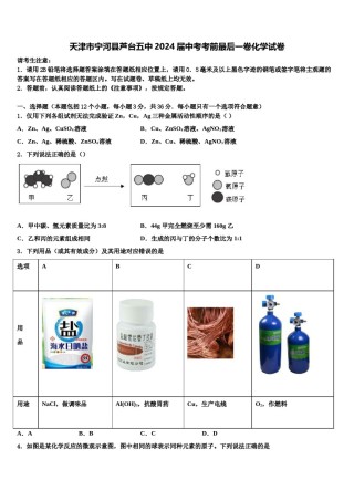 天津市宁河县芦台五中2024届中考考前最后一卷化学试卷含解析.doc