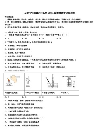 天津市宁河县芦台五中2024年中考联考化学试卷含解析.doc