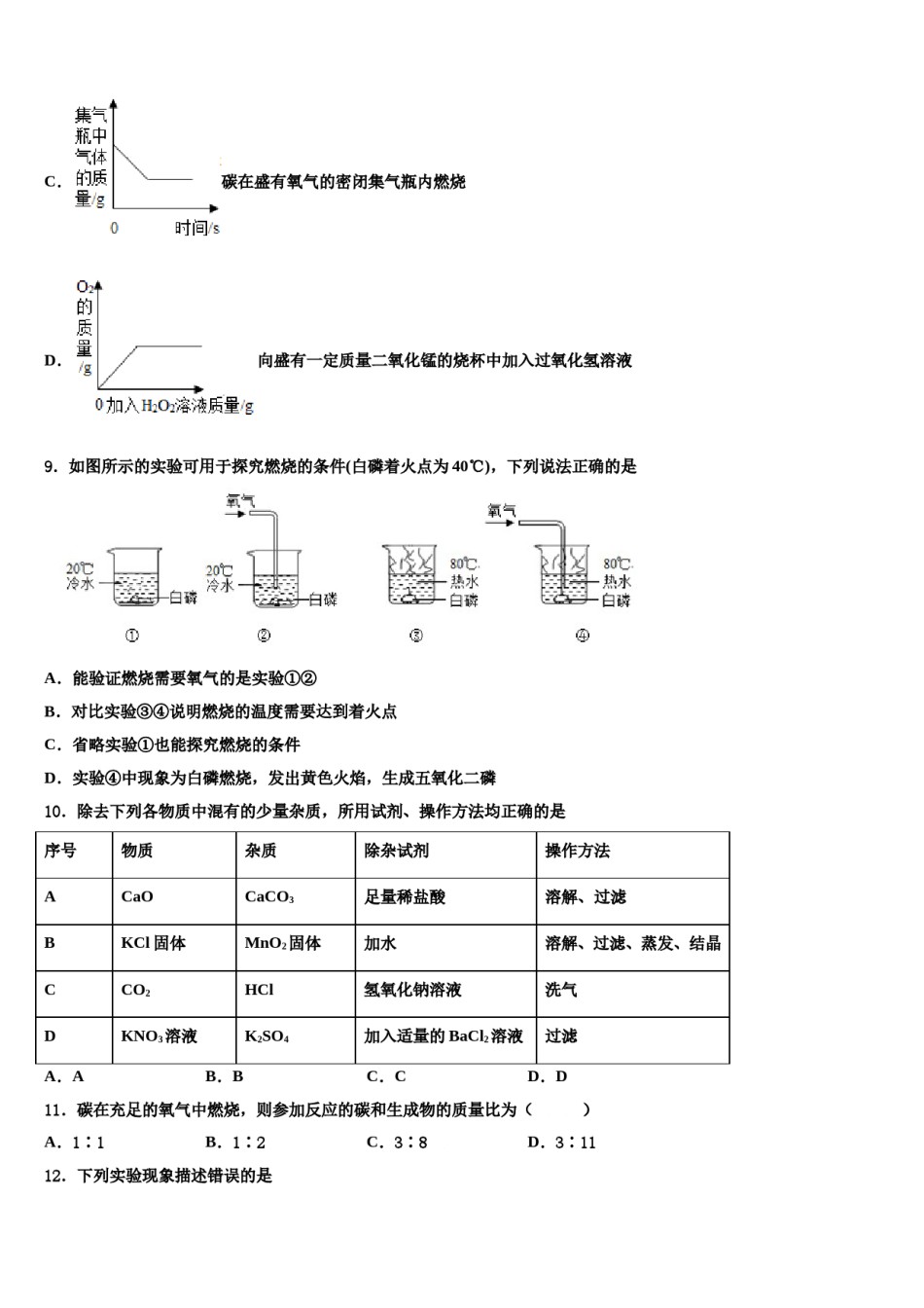 天津市宝坻区名校2024年中考猜题化学试卷含解析.doc_第3页