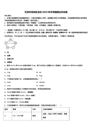 天津市宝坻区名校2024年中考猜题化学试卷含解析.doc