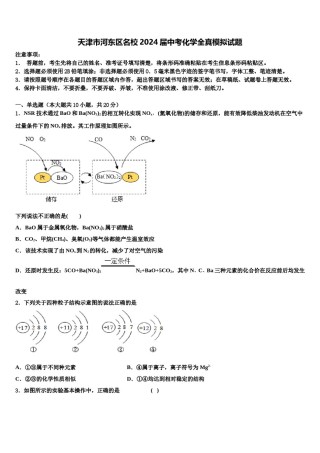 天津市河东区名校2024届中考化学全真模拟试题含解析.doc