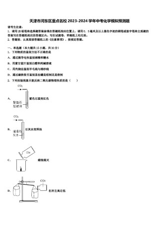 天津市河东区重点名校2023-2024学年中考化学模拟预测题含解析.doc