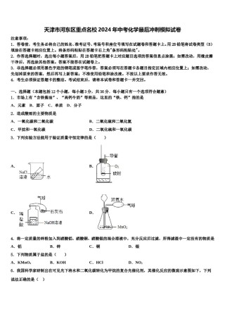 天津市河东区重点名校2024年中考化学最后冲刺模拟试卷含解析.doc