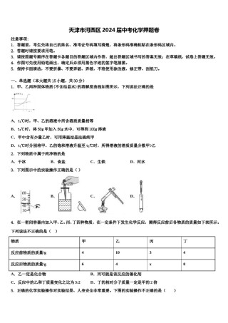 天津市河西区2024届中考化学押题卷含解析.doc