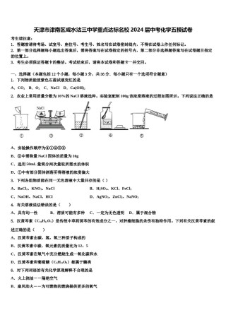 天津市津南区咸水沽三中学重点达标名校2024届中考化学五模试卷含解析.doc