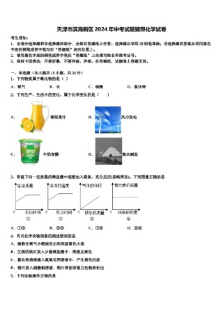天津市滨海新区2024年中考试题猜想化学试卷含解析.doc