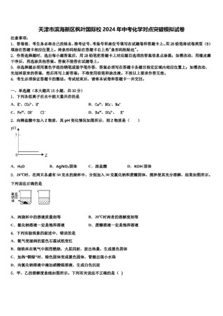 天津市滨海新区枫叶国际校2024年中考化学对点突破模拟试卷含解析.doc
