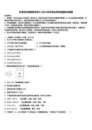 天津市红桥教育中学心2024年中考化学考试模拟冲刺卷含解析.doc