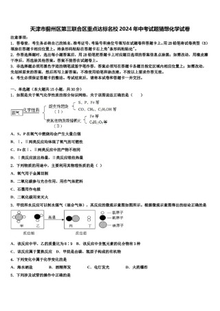 天津市蓟州区第三联合区重点达标名校2024年中考试题猜想化学试卷含解析.doc