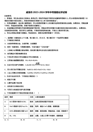 威海市2023-2024学年中考猜题化学试卷含解析.doc