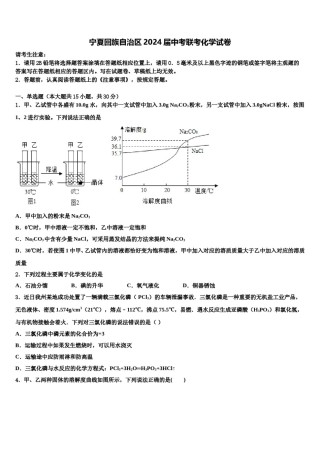 宁夏回族自治区2024届中考联考化学试卷含解析.doc