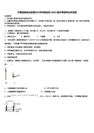 宁夏回族自治区银川六中市级名校2024届中考联考化学试卷含解析.doc
