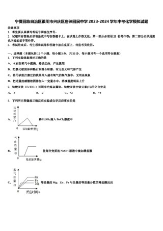 宁夏回族自治区银川市兴庆区唐徕回民中学2023-2024学年中考化学模拟试题含解析.doc
