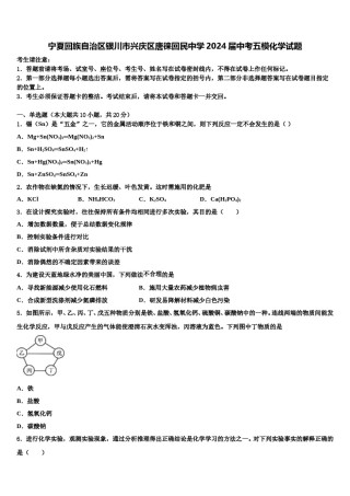 宁夏回族自治区银川市兴庆区唐徕回民中学2024届中考五模化学试题含解析.doc