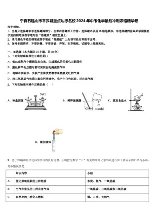 宁夏石嘴山市平罗县重点达标名校2024年中考化学最后冲刺浓缩精华卷含解析.doc