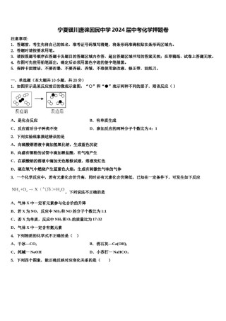 宁夏银川唐徕回民中学2024届中考化学押题卷含解析.doc