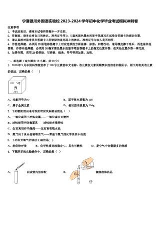 宁夏银川外国语实验校2023-2024学年初中化学毕业考试模拟冲刺卷含解析.doc