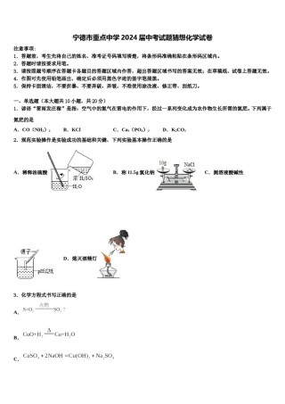 宁德市重点中学2024届中考试题猜想化学试卷含解析.doc