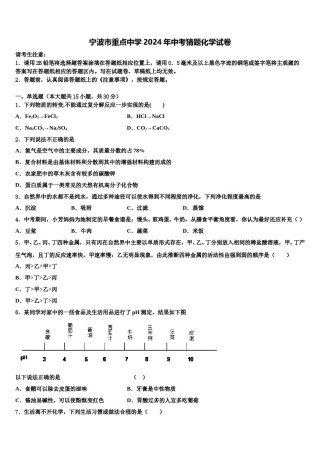 宁波市重点中学2024年中考猜题化学试卷含解析.doc