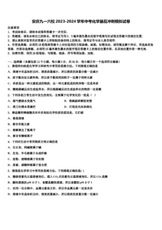 安庆九一六校2023-2024学年中考化学最后冲刺模拟试卷含解析.doc