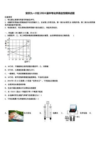 安庆九一六校2024届中考化学适应性模拟试题含解析.doc