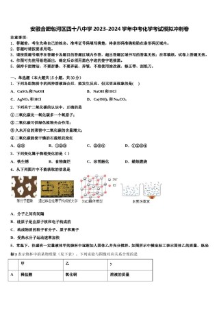安徽合肥包河区四十八中学2023-2024学年中考化学考试模拟冲刺卷含解析.doc