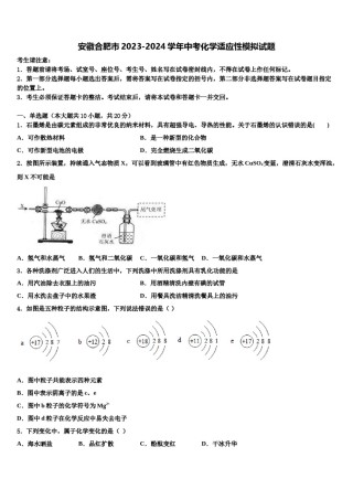 安徽合肥市2023-2024学年中考化学适应性模拟试题含解析.doc