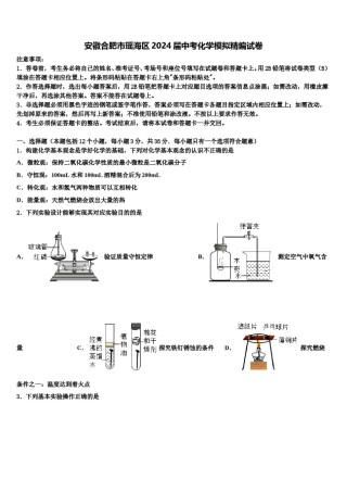 安徽合肥市瑶海区2024届中考化学模拟精编试卷含解析.doc
