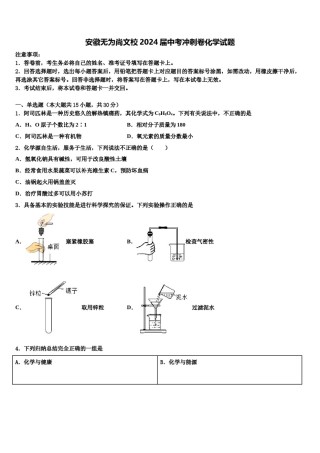 安徽无为尚文校2024届中考冲刺卷化学试题含解析.doc