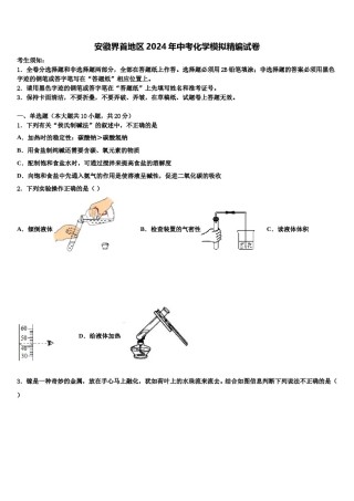 安徽界首地区2024年中考化学模拟精编试卷含解析.doc