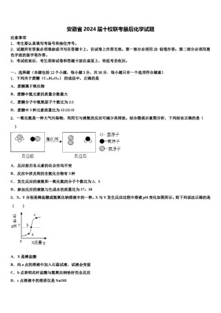 安徽省2024届十校联考最后化学试题含解析.doc