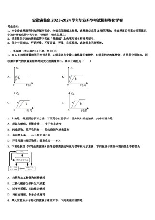 安徽省临泉2023-2024学年毕业升学考试模拟卷化学卷含解析.doc