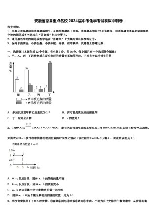 安徽省临泉重点名校2024届中考化学考试模拟冲刺卷含解析.doc