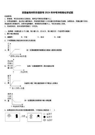 安徽省亳州利辛县联考2024年中考冲刺卷化学试题含解析.doc