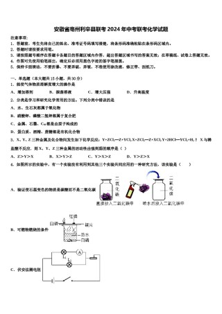 安徽省亳州利辛县联考2024年中考联考化学试题含解析.doc
