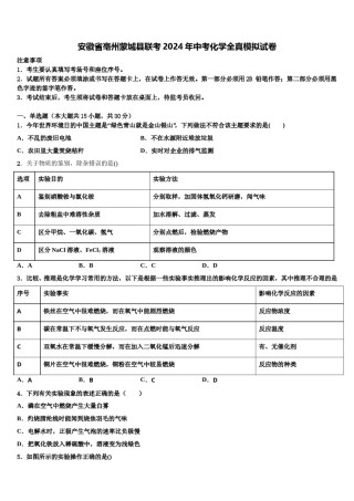 安徽省亳州蒙城县联考2024年中考化学全真模拟试卷含解析.doc