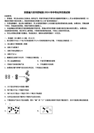 安徽省六安市舒城县2024年中考化学仿真试卷含解析.doc