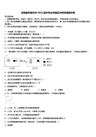 安徽省养鹿中学2024届中考化学最后冲刺浓缩精华卷含解析.doc
