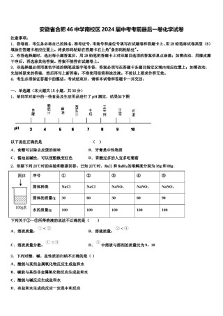 安徽省合肥46中学南校区2024届中考考前最后一卷化学试卷含解析.doc