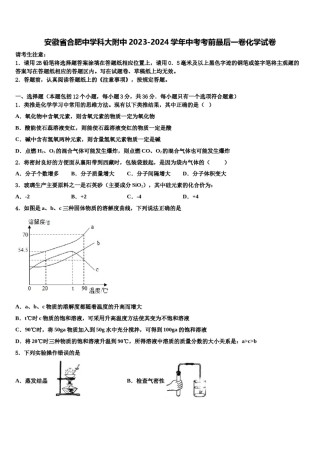 安徽省合肥中学科大附中2023-2024学年中考考前最后一卷化学试卷含解析.doc