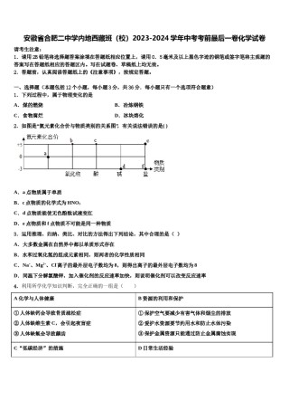 安徽省合肥二中学内地西藏班（校）2023-2024学年中考考前最后一卷化学试卷含解析.doc