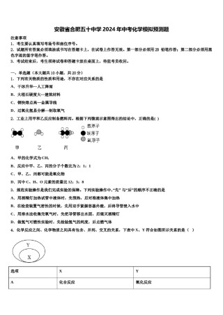 安徽省合肥五十中学2024年中考化学模拟预测题含解析.doc