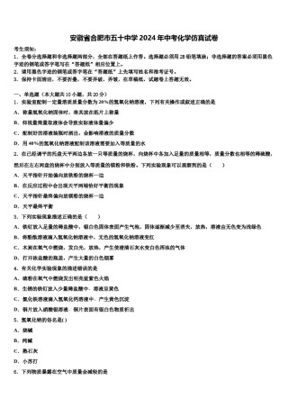 安徽省合肥市五十中学2024年中考化学仿真试卷含解析.doc
