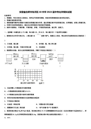 安徽省合肥市包河区48中学2024届中考化学模拟试题含解析.doc