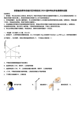 安徽省合肥市北城片区市级名校2024届中考化学全真模拟试题含解析.doc