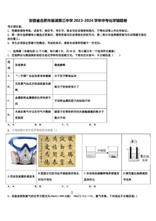 安徽省合肥市巢湖第三中学2023-2024学年中考化学猜题卷含解析.doc